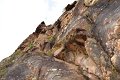 pic01 (5)